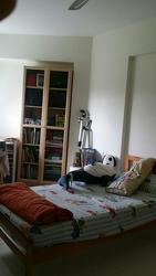 Blk 395 Bukit Batok West Avenue 5 (Bukit Batok), HDB 4 Rooms #71274071